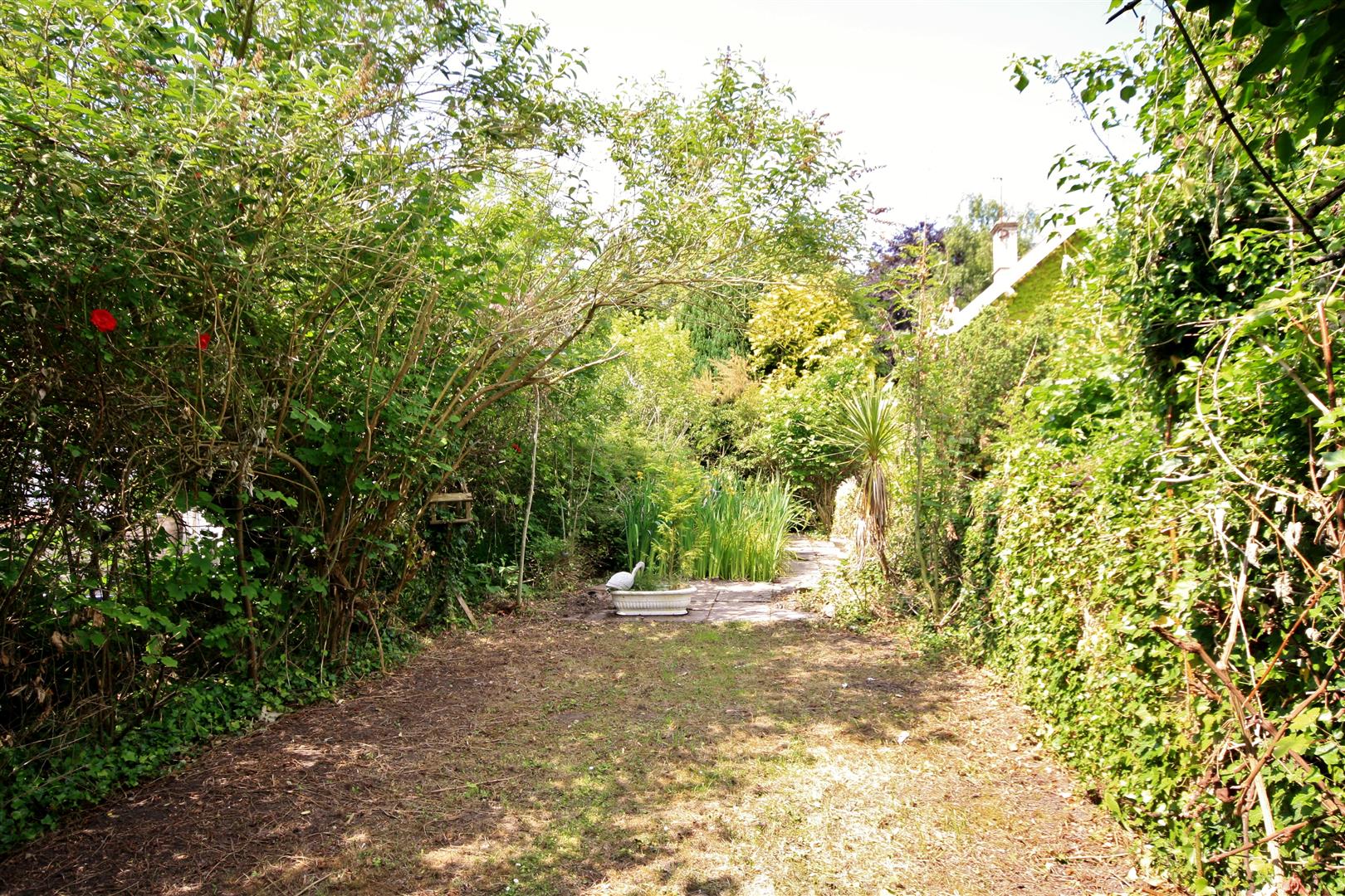 27959468_13.jpg
